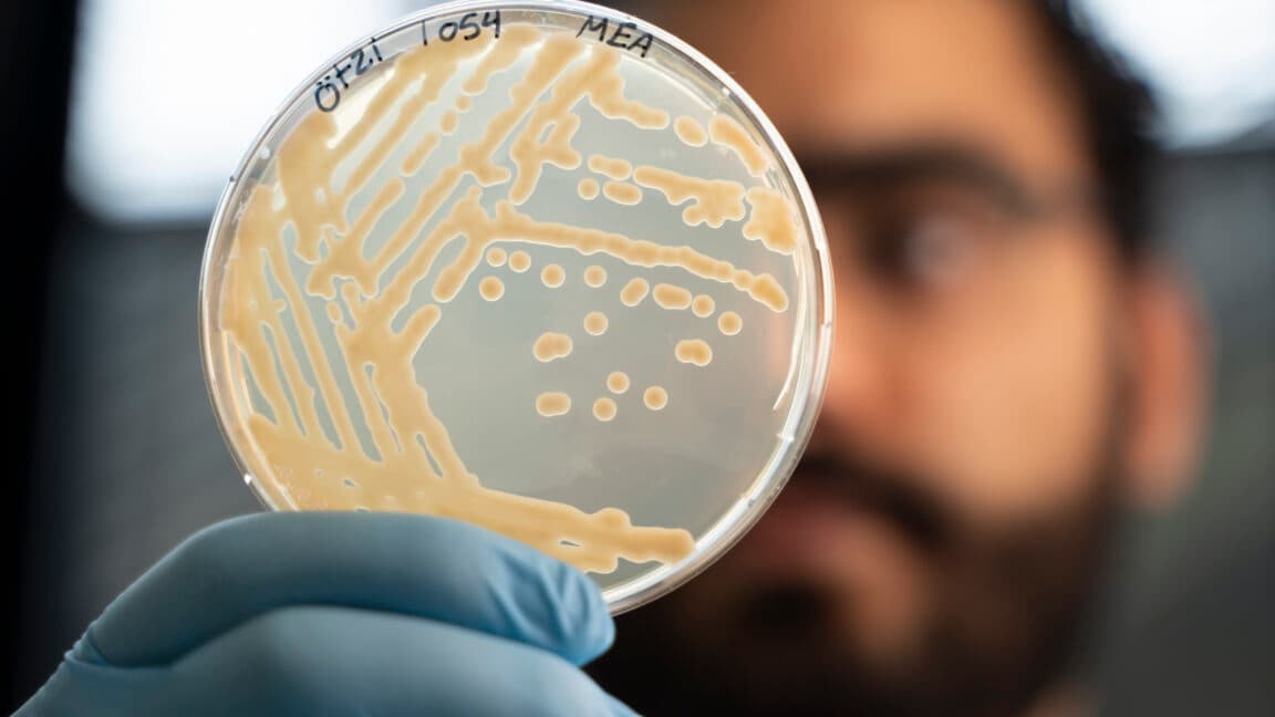 Frozen Microbes of Ötzi's Era Spring Back to Life Amidst Scientific Delight