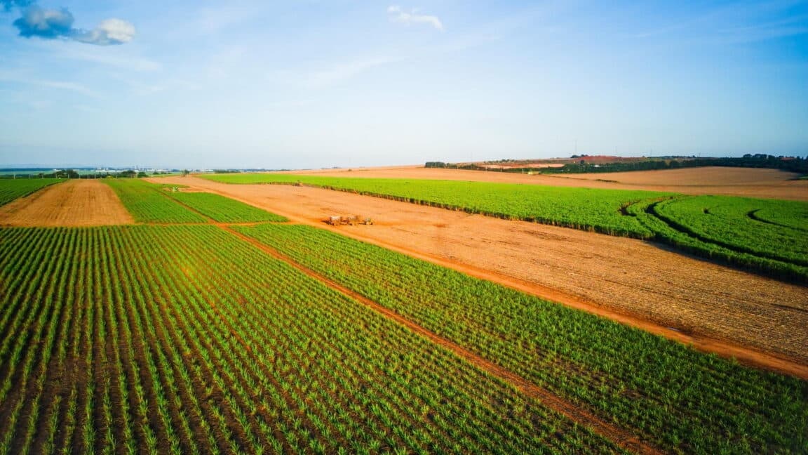 India's Seed Patent Regime Stifling AI-Driven Farm Innovation Momentum