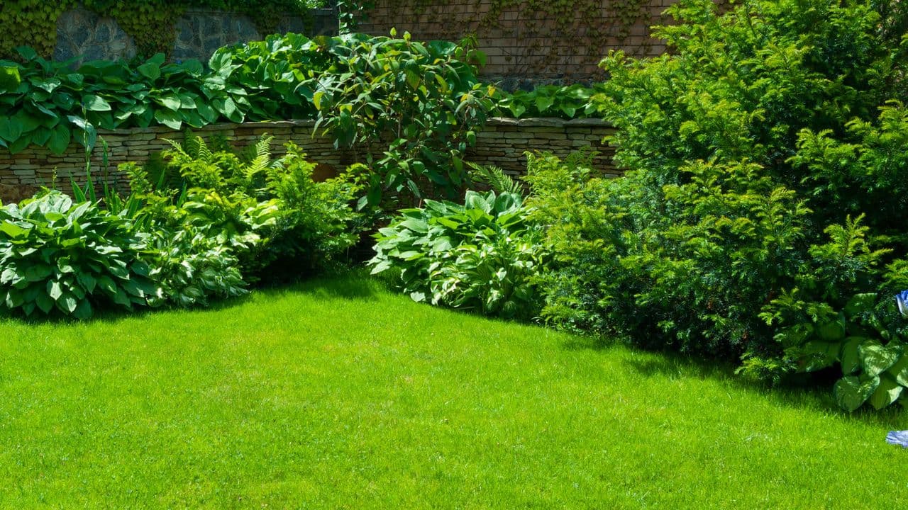 Want a lush lawn for summer? Don't skip this one crucial step in May