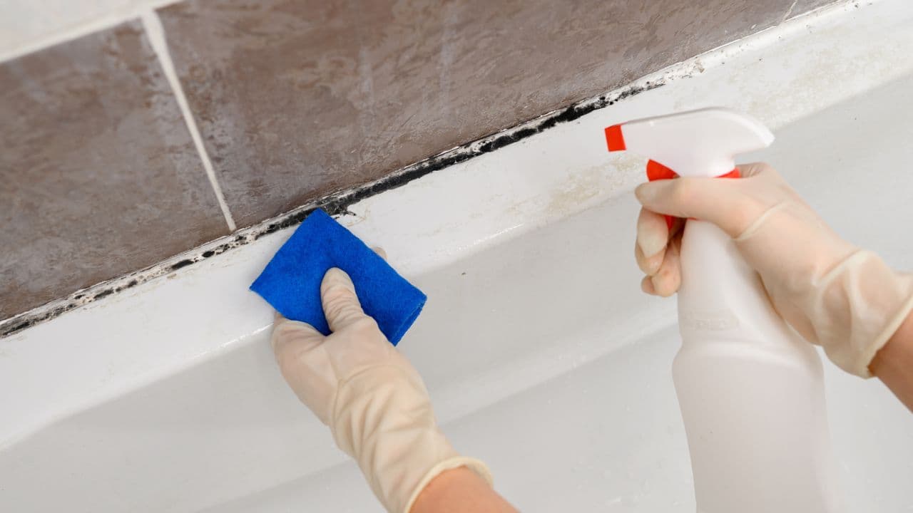 Blast Away Mold with This Surprising Kitchen Staple in Minutes