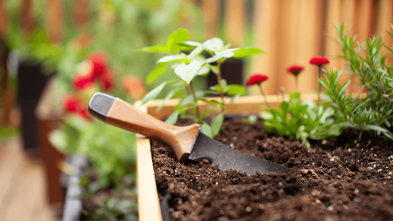 Transform your backyard for less this summer: 5 garden tools I recommend under $25