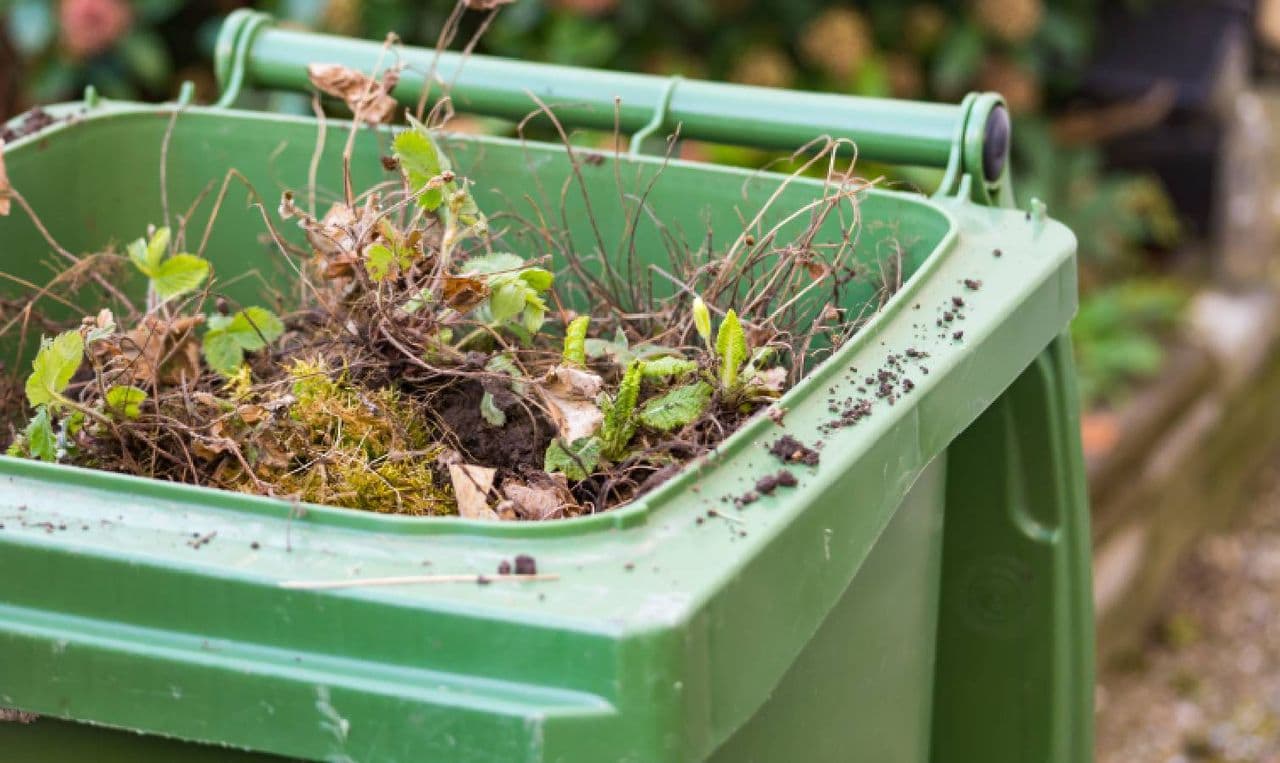 5 clever alternatives for disposing of yard waste at home