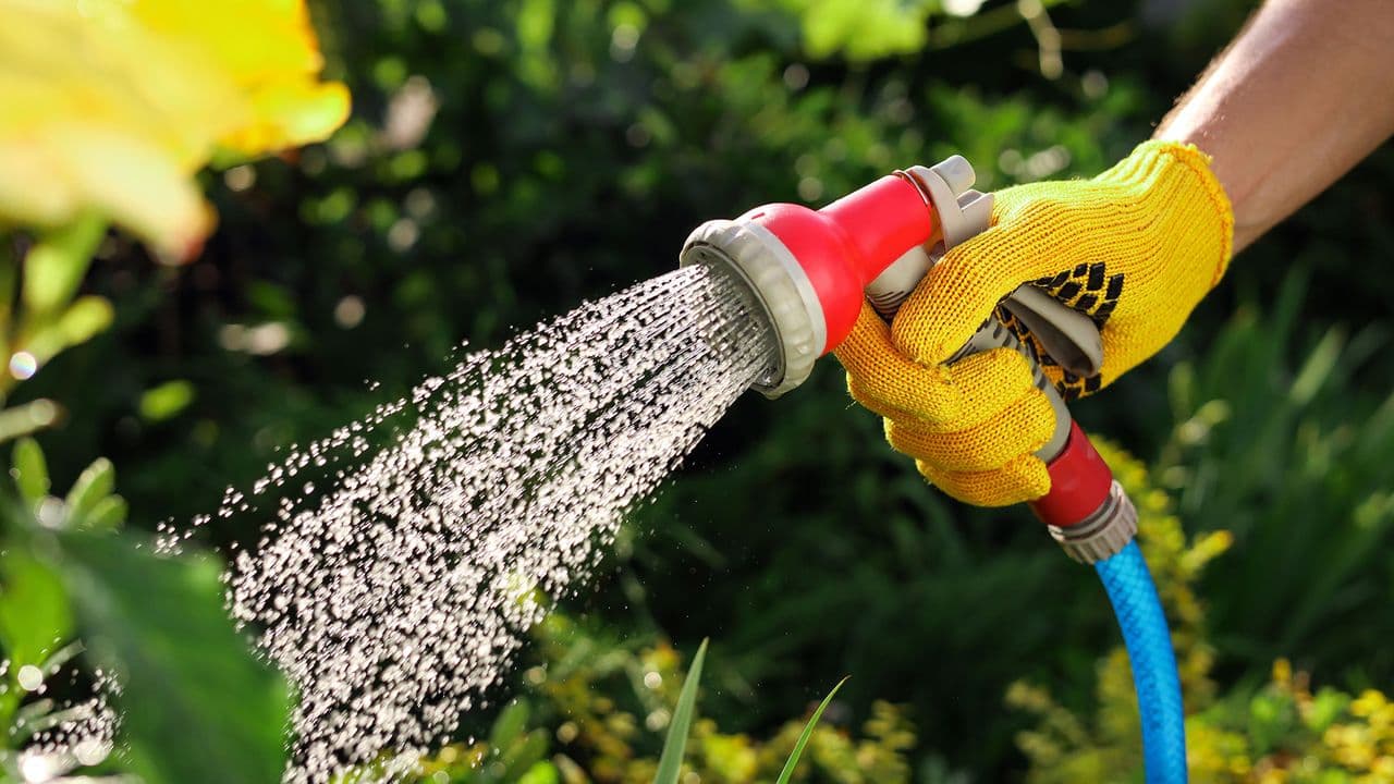 Unlock Optimal Growth: Timing is Everything for Summer Gardens