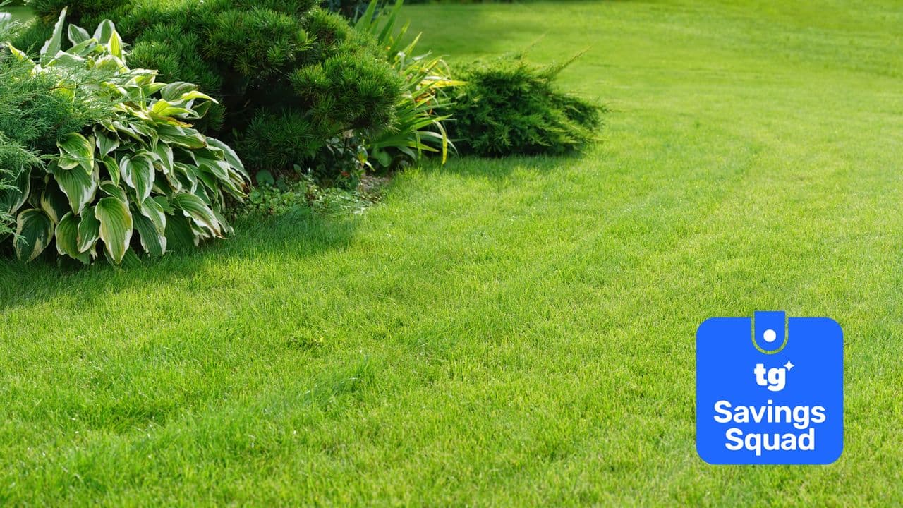 Gardeners urged not to make this mistake with their grass clippings: Here’s why you shouldn’t throw them away