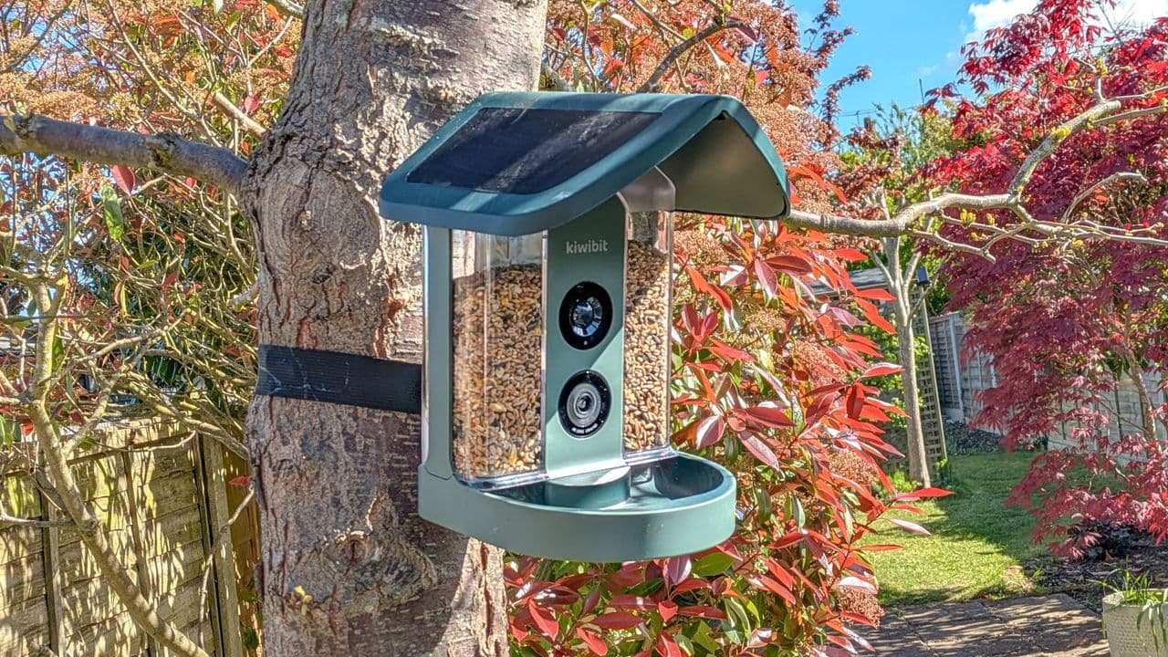 I opened up my backyard to the Kiwibit Bird Feeder 2, and here's my honest verdict