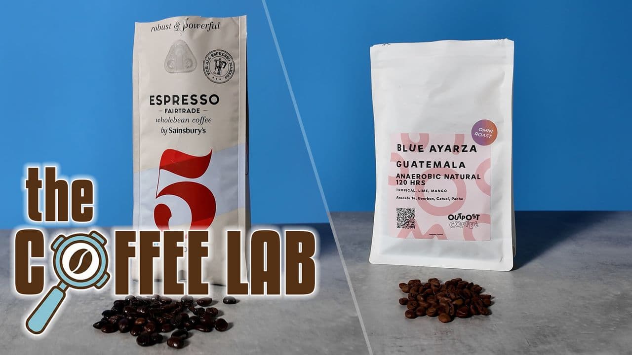 Do Expensive Coffee Beans Make a Difference? A Taste Test