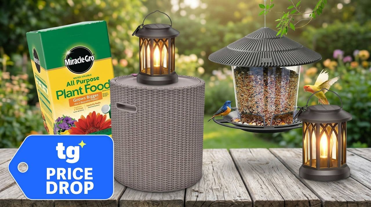 Amazon Memorial Day patio and garden scores under $50 — 15 affordable finds to transform your outdoor space