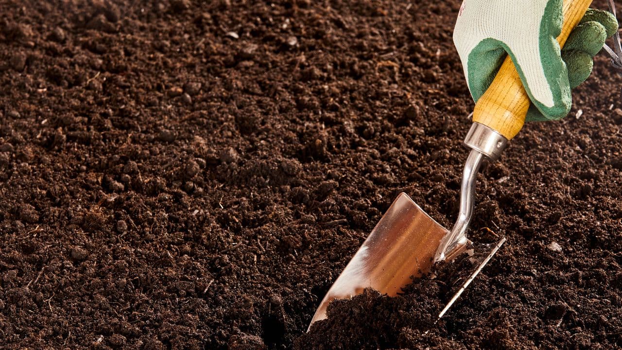Stop buying the wrong soil — experts reveal the difference between topsoil and garden soil