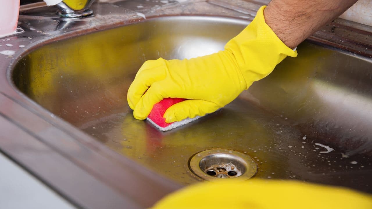 Kitchen Counters: The Dark Corners Where Bacteria Are Hiding