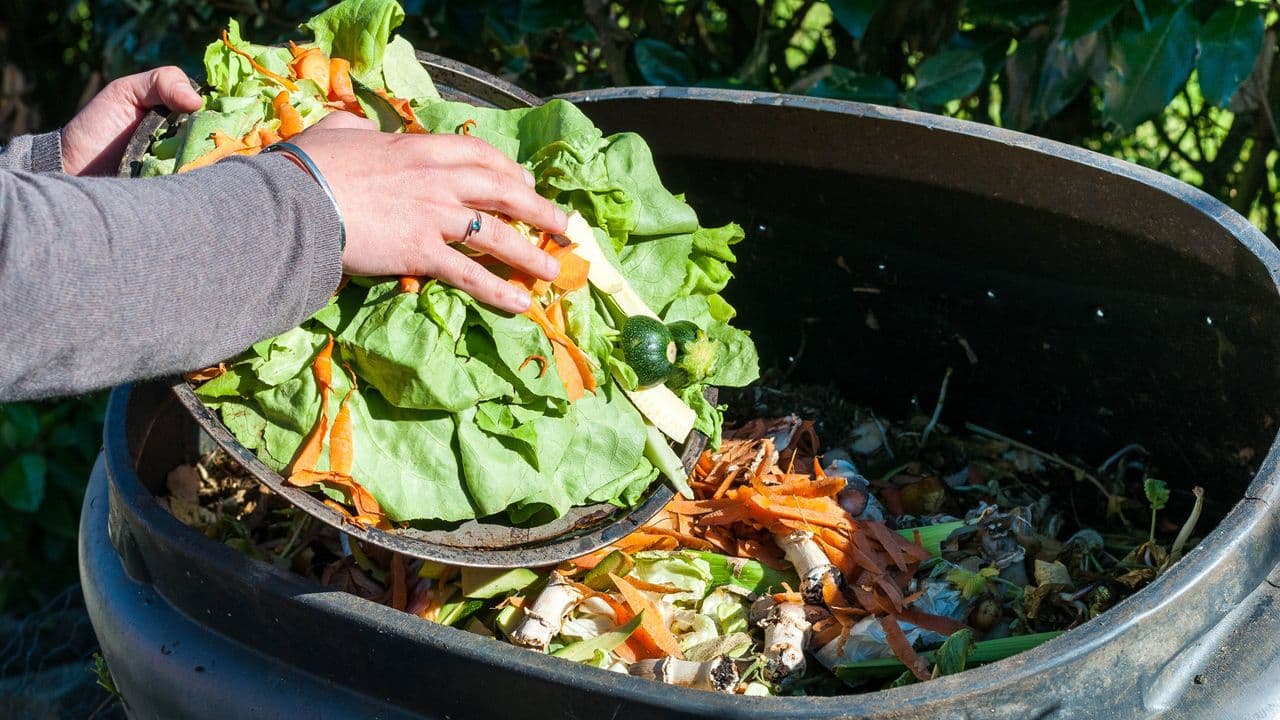 Eliminate Compost Odors This Summer with 3 Simple Steps