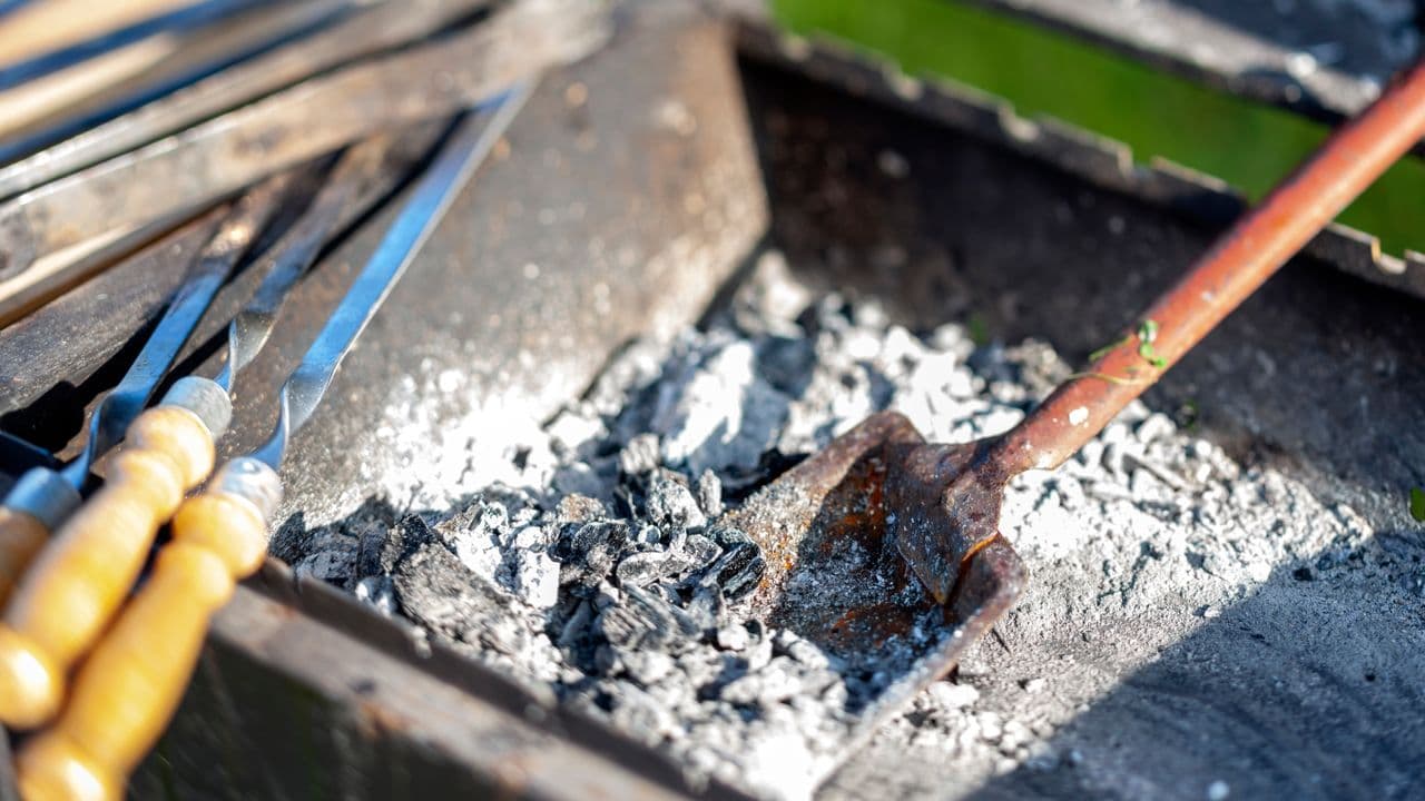 Why gardeners are sprinkling grill ash on their plants (it's not as surprising as it sounds)