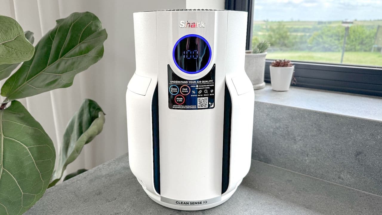 I bought an air purifier to help tackle allergy season — here's the biggest changes in my home after one month