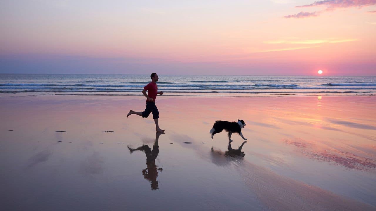 Don't pay for a running coach — here's how to turn ChatGPT into your personal AI hype-man for free