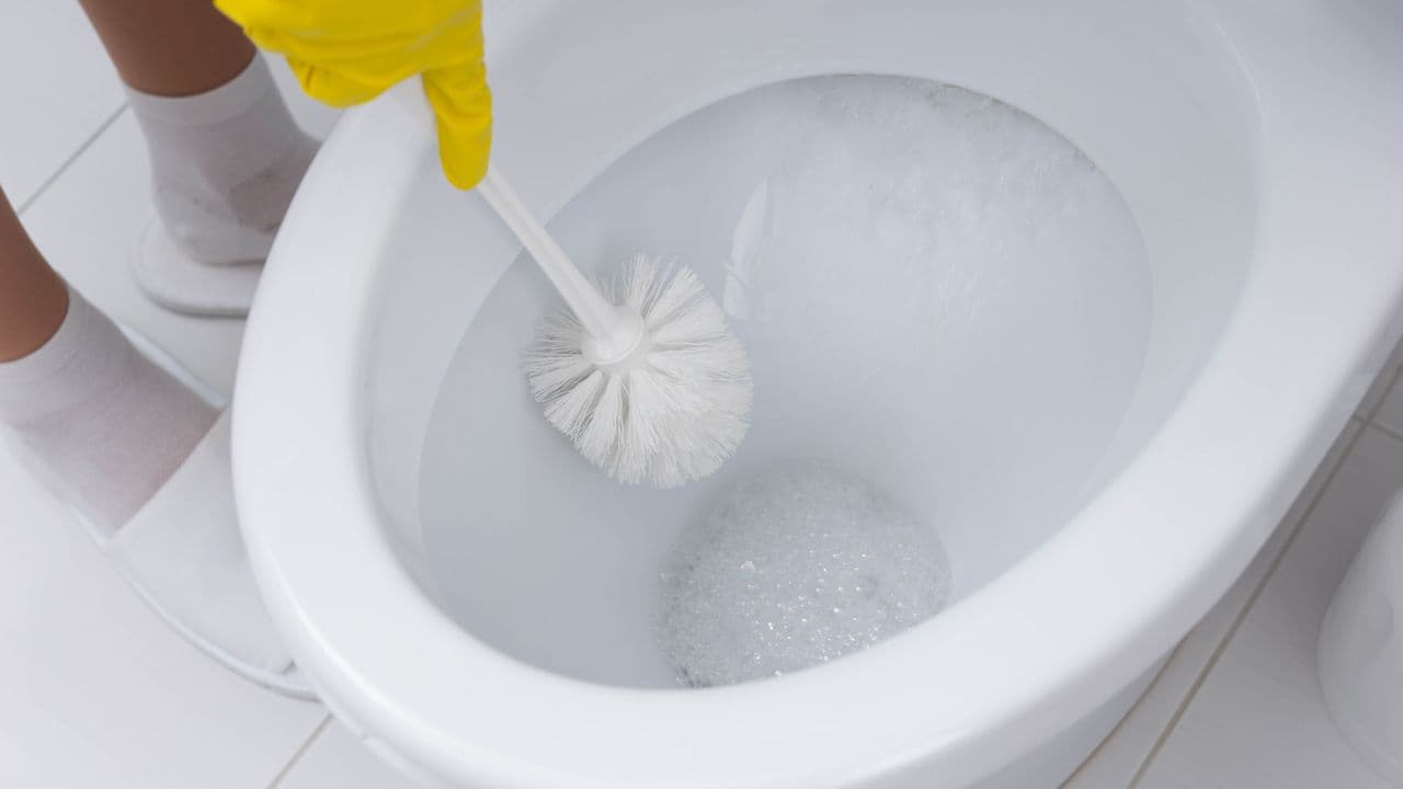 How often should you change your toilet brush to keep it hygienic?