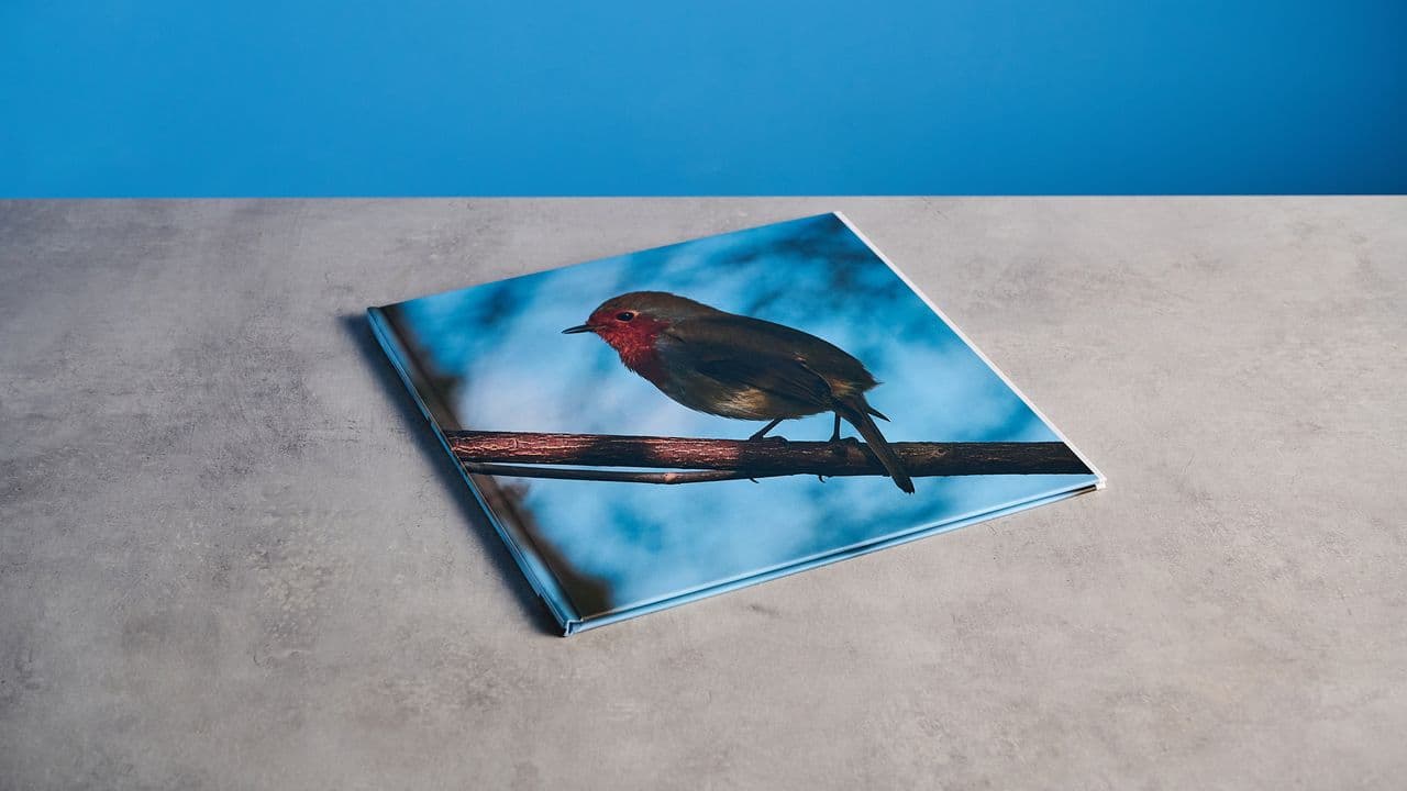 Blurb Photo Book review