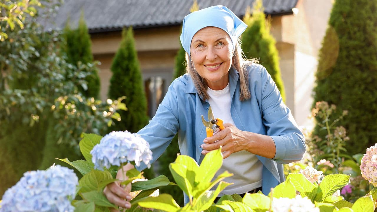 Essential Garden Tools: Invest Wisely for Success
