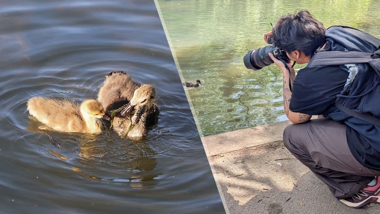 Unleashing the Canon EOS R6 Mark III: 6000 Frames, Endless Possibilities