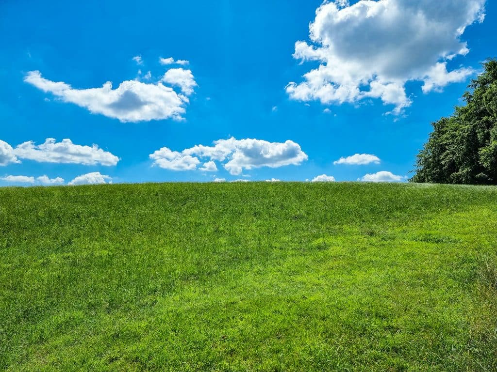 Microsoft aims to win back developers’ affection for Windows