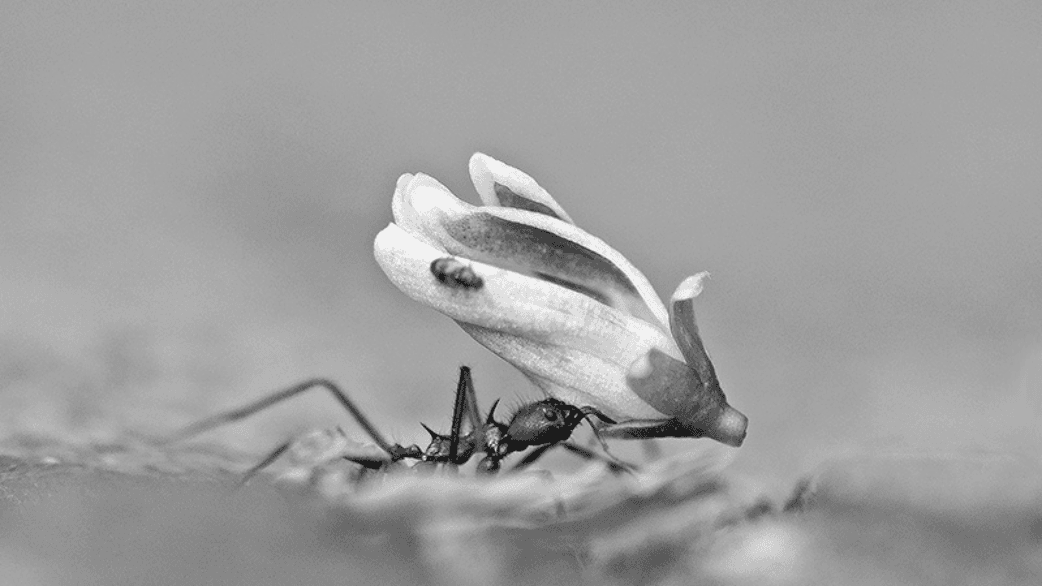 German biotech Kupando raises €10M more to take its innate immunity drug into the clinic