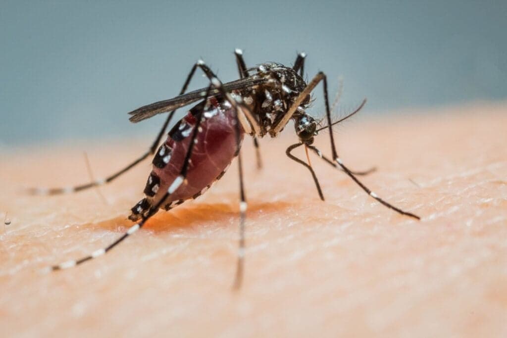 Tropical Disease Experiences Explosive 359% Rise in the US