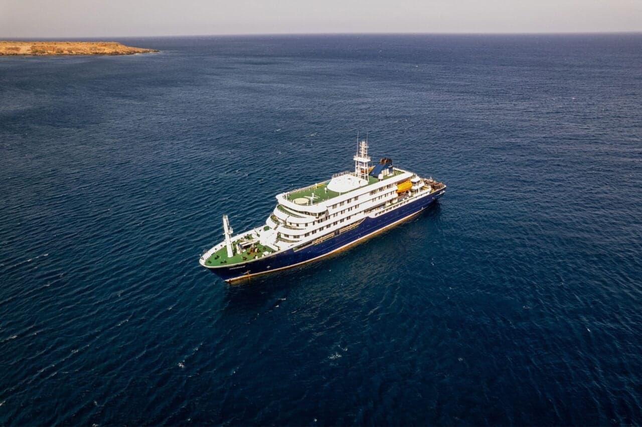 Hantavirus Outbreak Hits Cruise Ship. Here’s What You Should Know