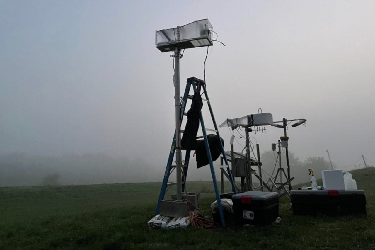 Fog Is Teeming With Life—But What It Eats Is the Weird Part