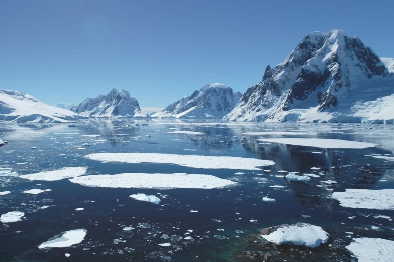 ‘This Is Absolutely Crazy’: Antarctic Temperatures Hit a Record High This Month
