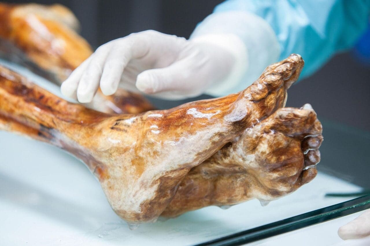Ötzi the Iceman’s Microbes Still Show Signs of Life After 5,300 Years