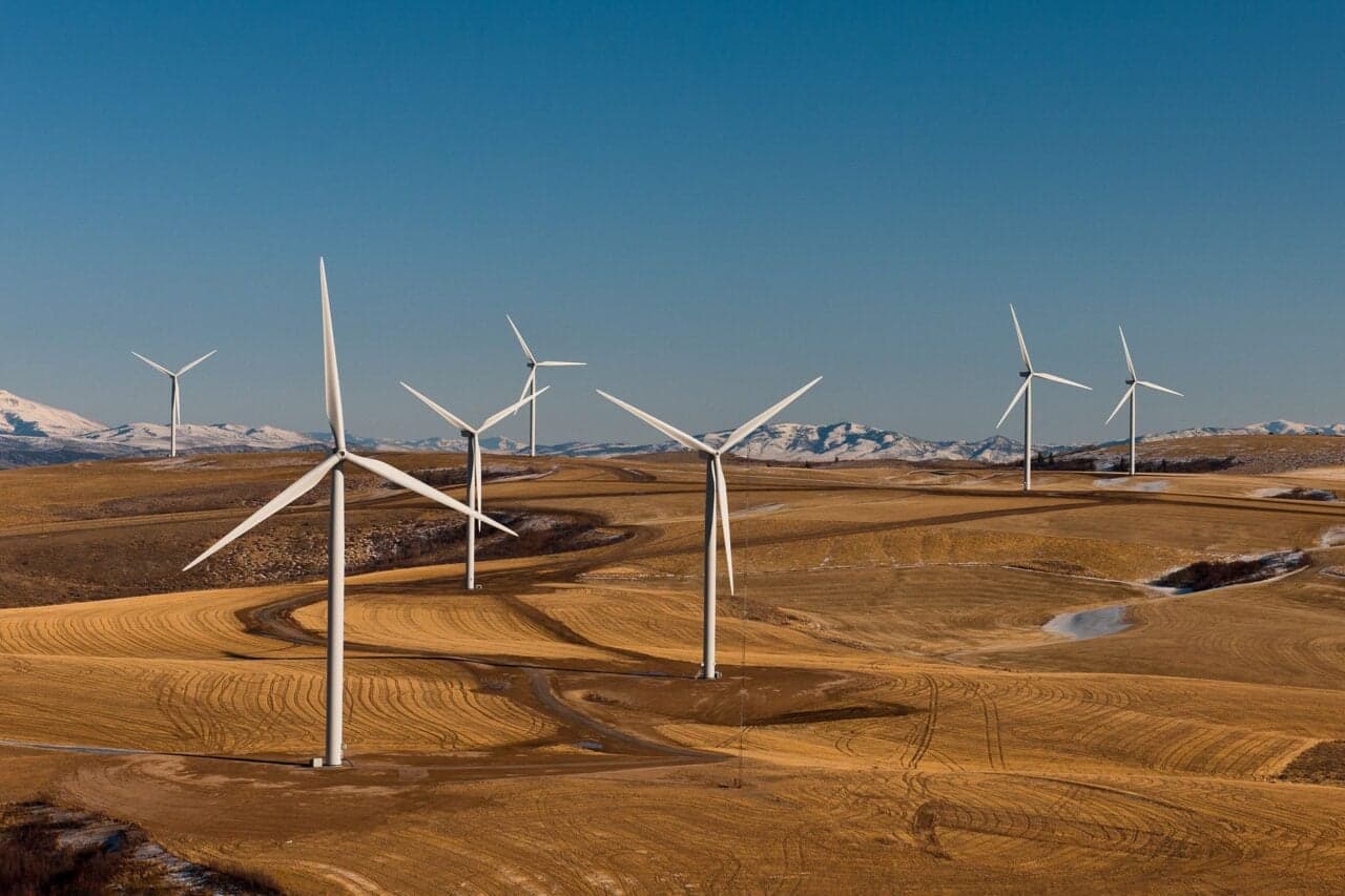 Wind Energy Scores Major Victory as US Renewable Sector Gains Momentum