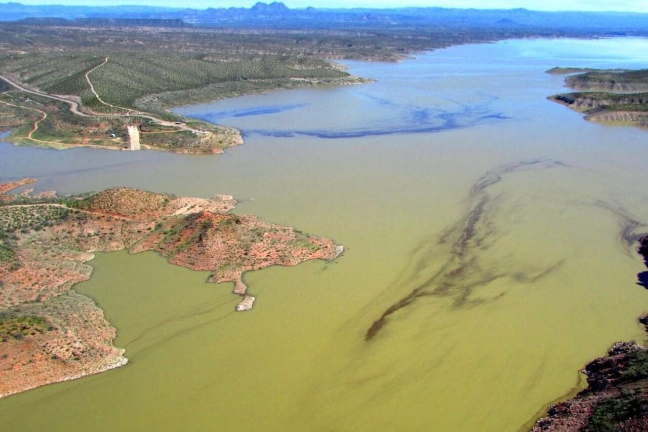 Massive Fish Die-Off Hits Arizona's Largest Lake Amid Environmental Crisis