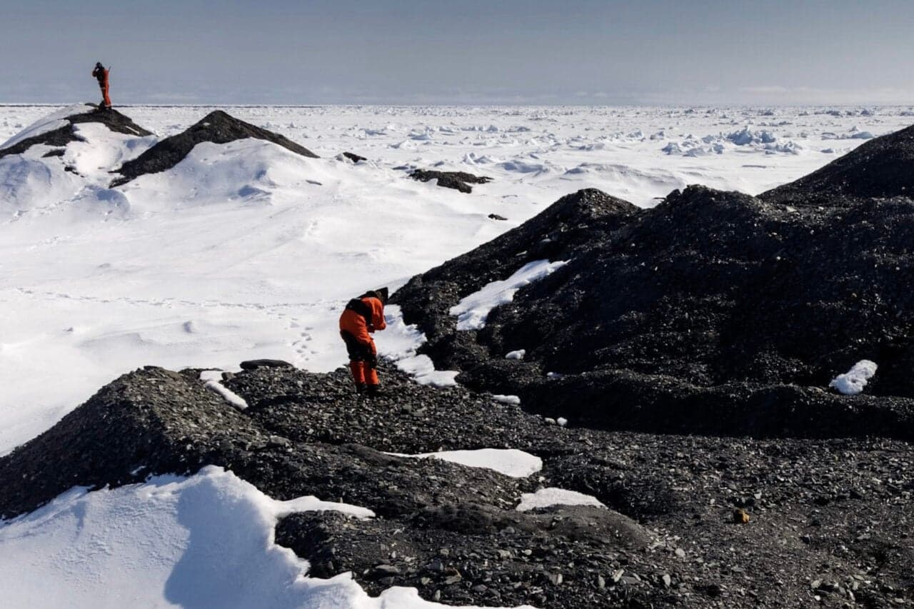 Unexpected Discoveries Found on Seafloor Beneath Mysterious Arctic Icebergs