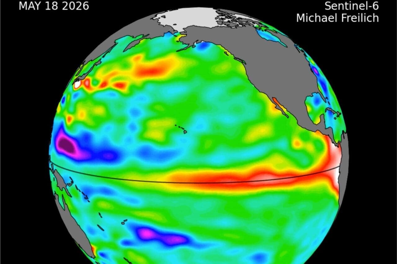 Ocean-Observing Satellite Spots Telltale Sign of Growing El Niño