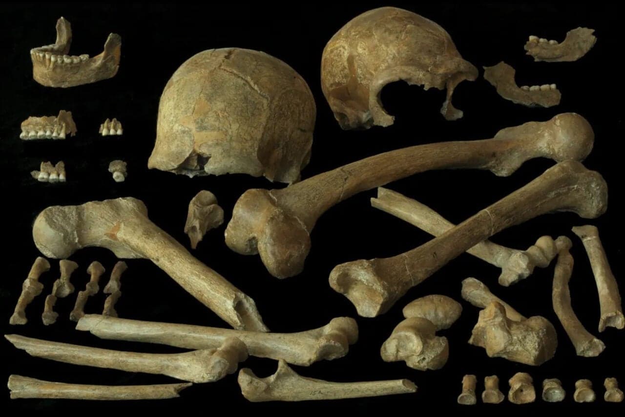 India's Genetic Past Redefines the Ancient Neanderthal Narrative