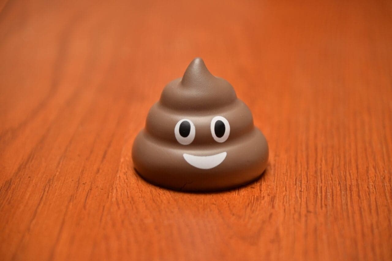 The Poop Emoji Got Gravity Right, Physicists Find