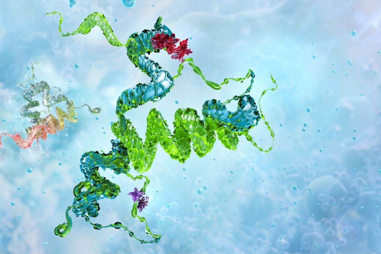 Mad Cow Origins Hold Key to Beating India's Antimicrobial Resistance Crisis