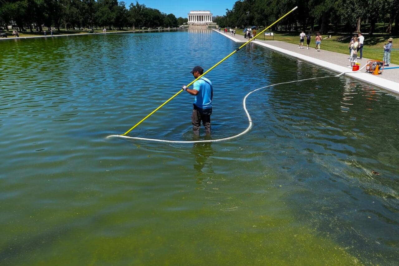 Trump Admin Declares Total Victory Over Algae Thanks to ‘Advanced Nanobubbler Technology’