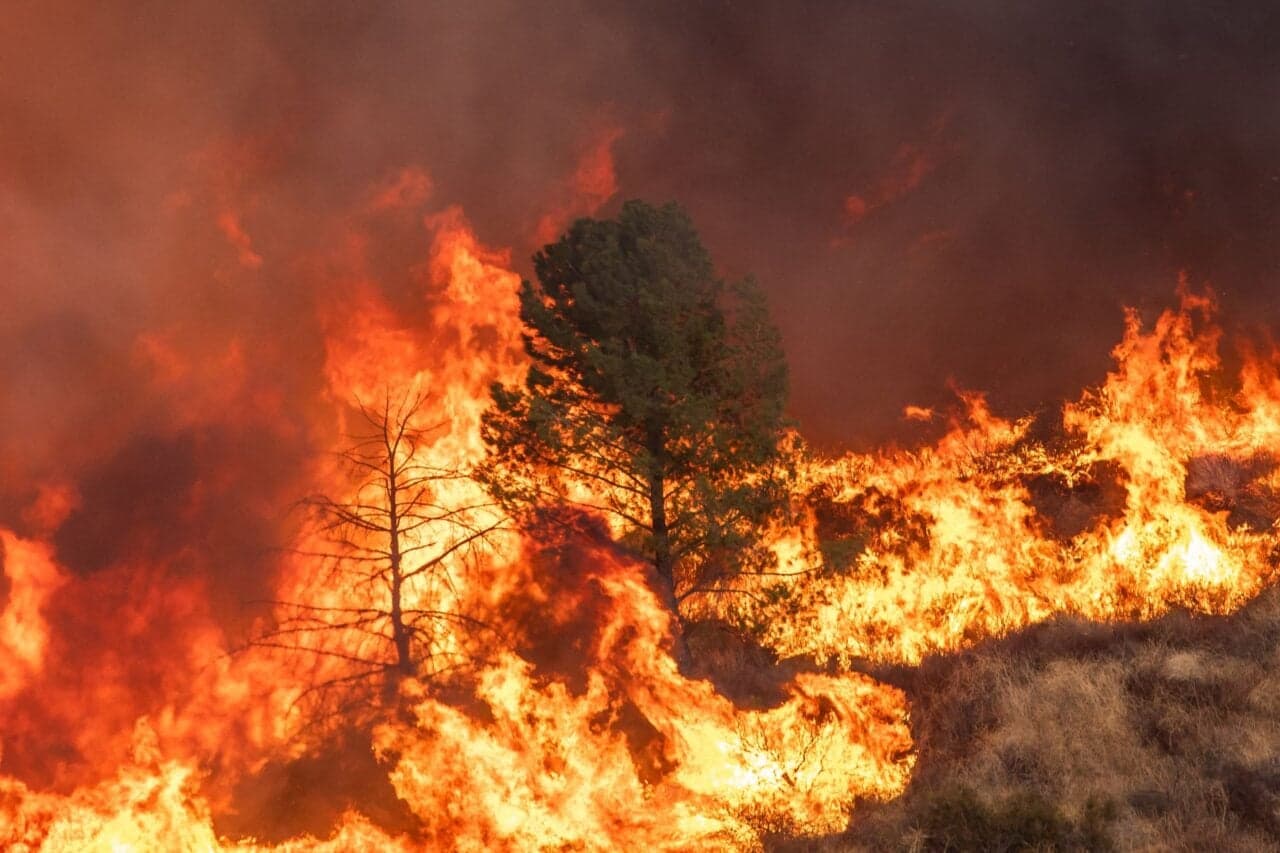 The Deadliest Kind of Wildfire Now Dominates California’s Forests