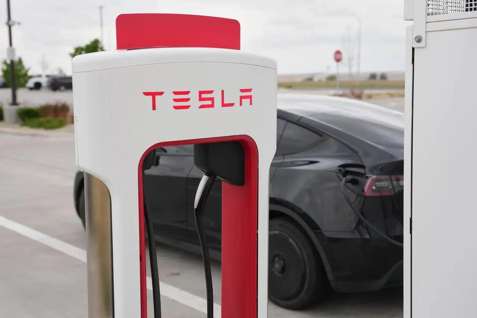 Tesla made $573 million in sales from SpaceX and xAI last year
