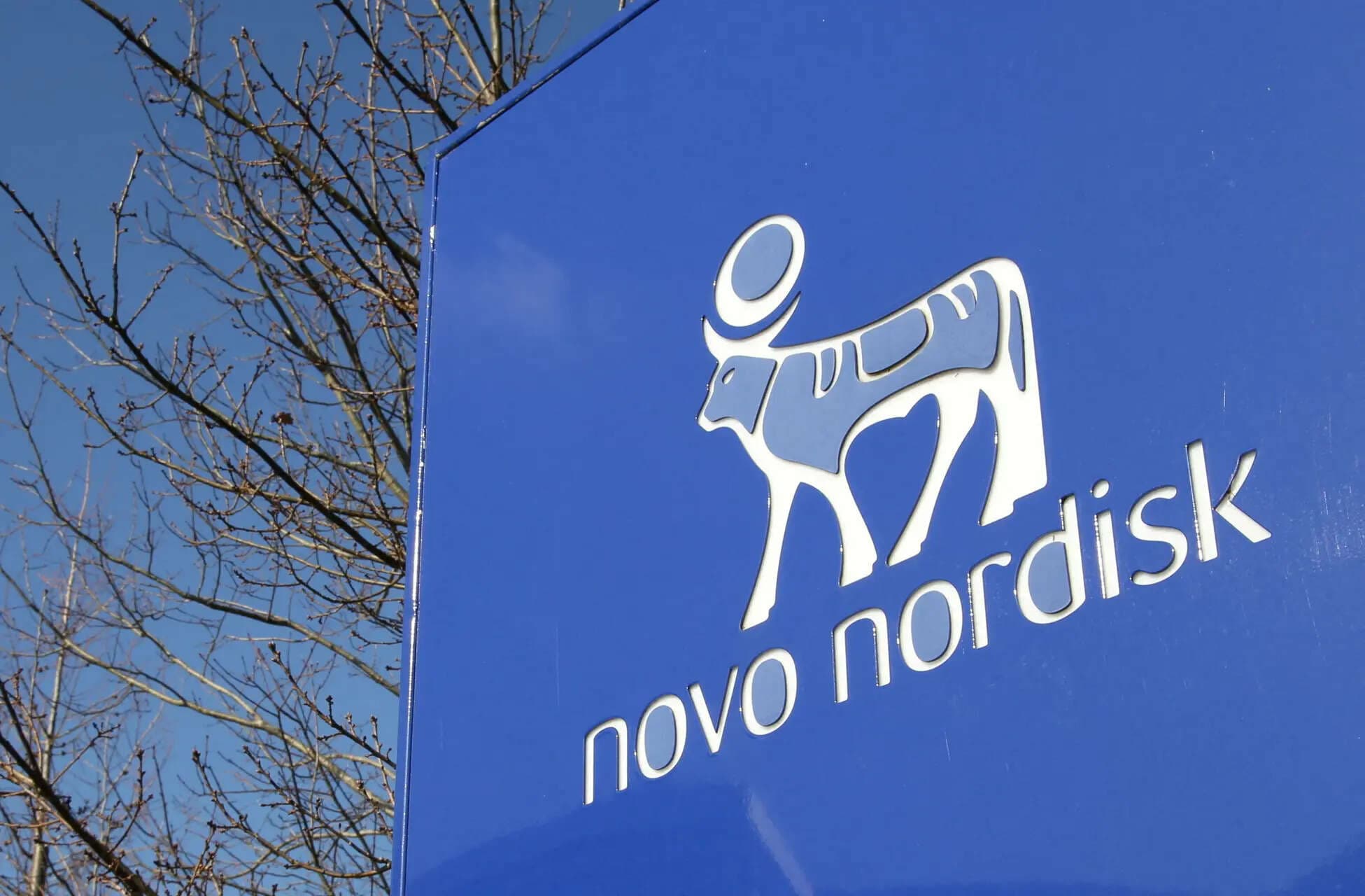 Novo Nordisk uses AI to fast-track drug launches, expand India role