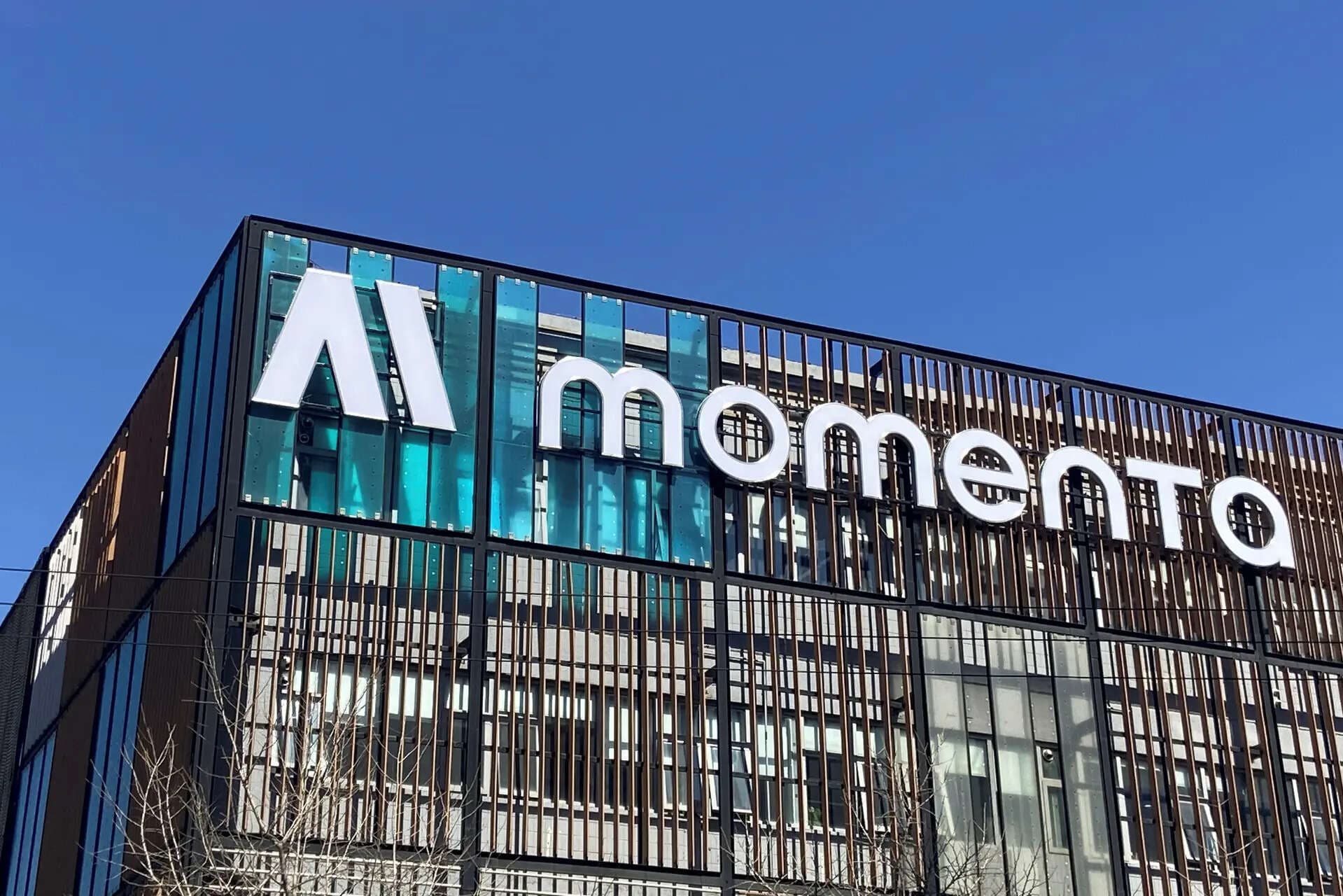 Momenta's IPO Targets $751 Million Amid AI Tech Surge