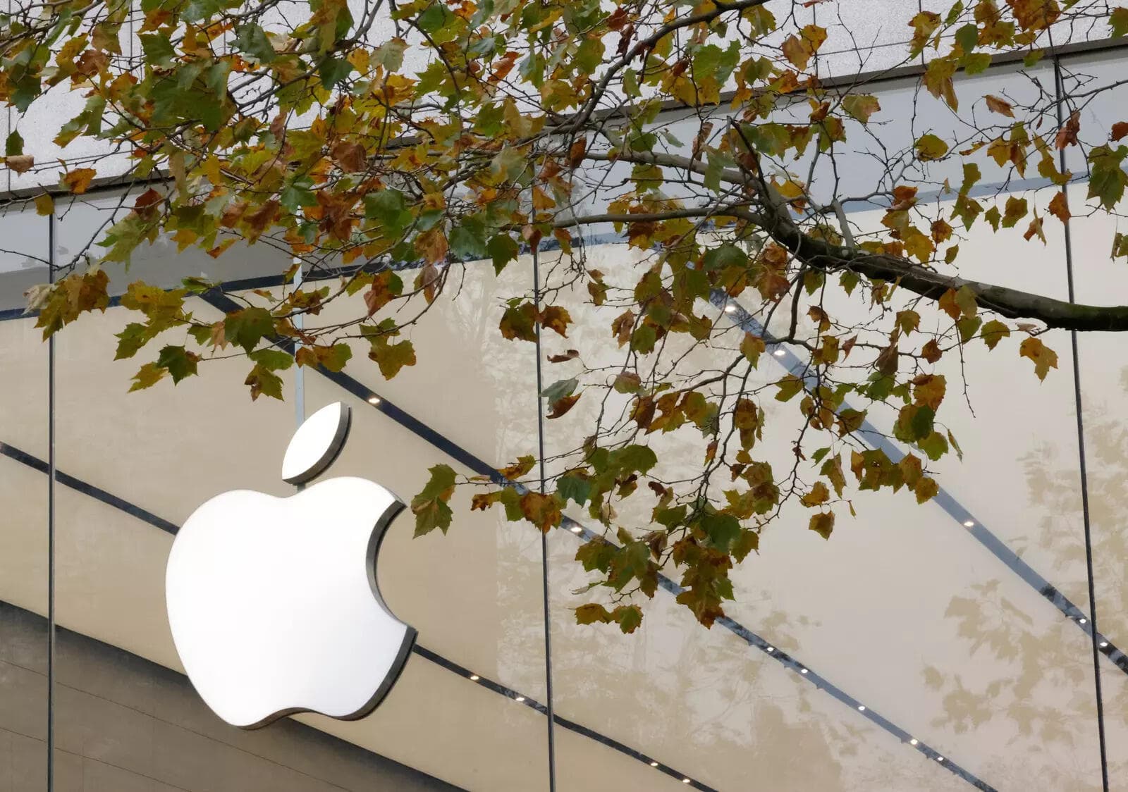 Apple Faces Hefty Fines in India Over Alleged Bias Against Local Developers