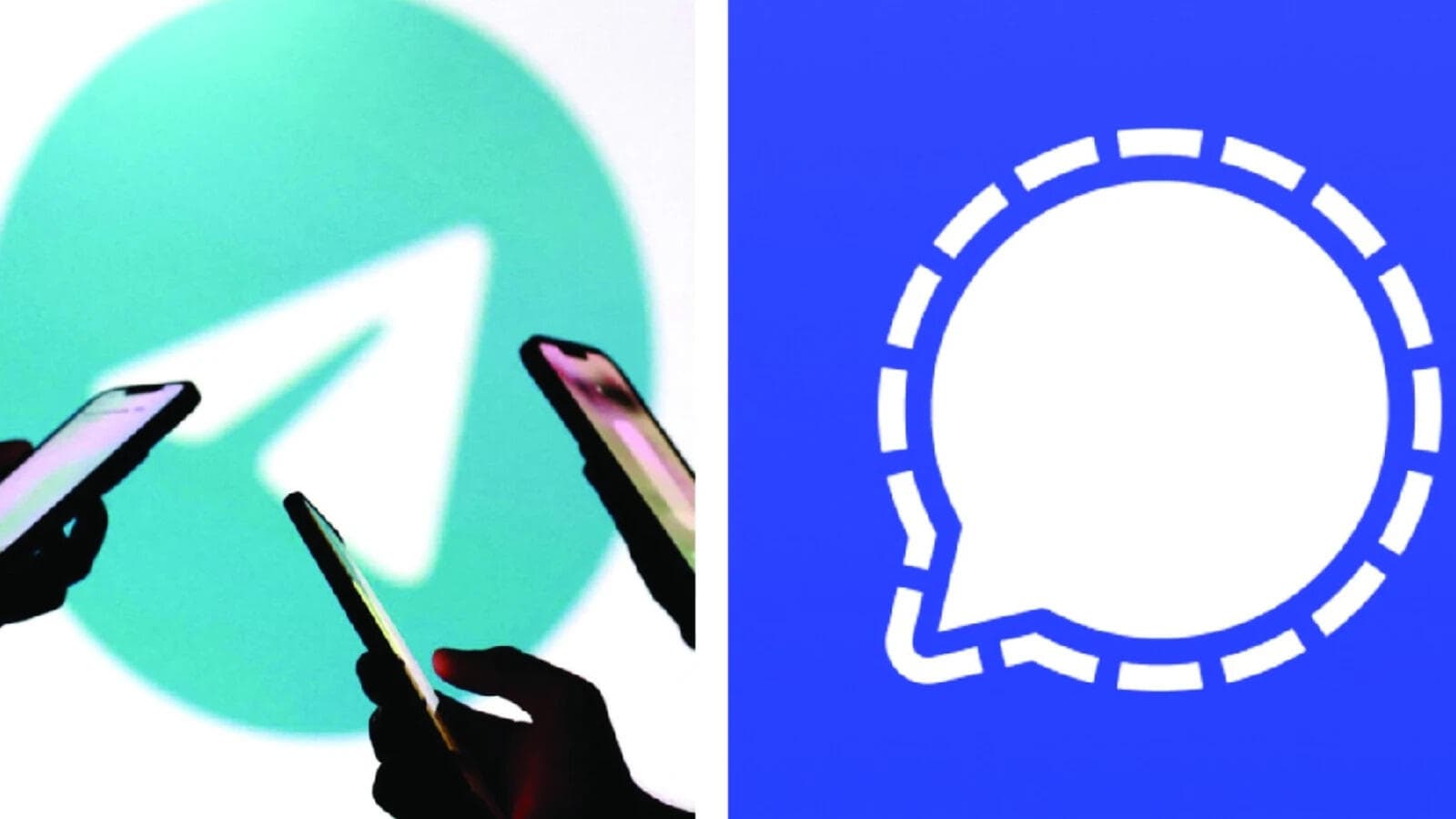 Telegram and Signal face scrutiny from government over username policies