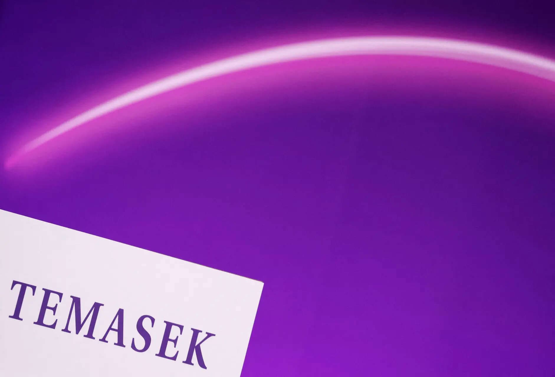 Temasek Embarks on AI Investment Spree, Portfolio Value Soars to Record High