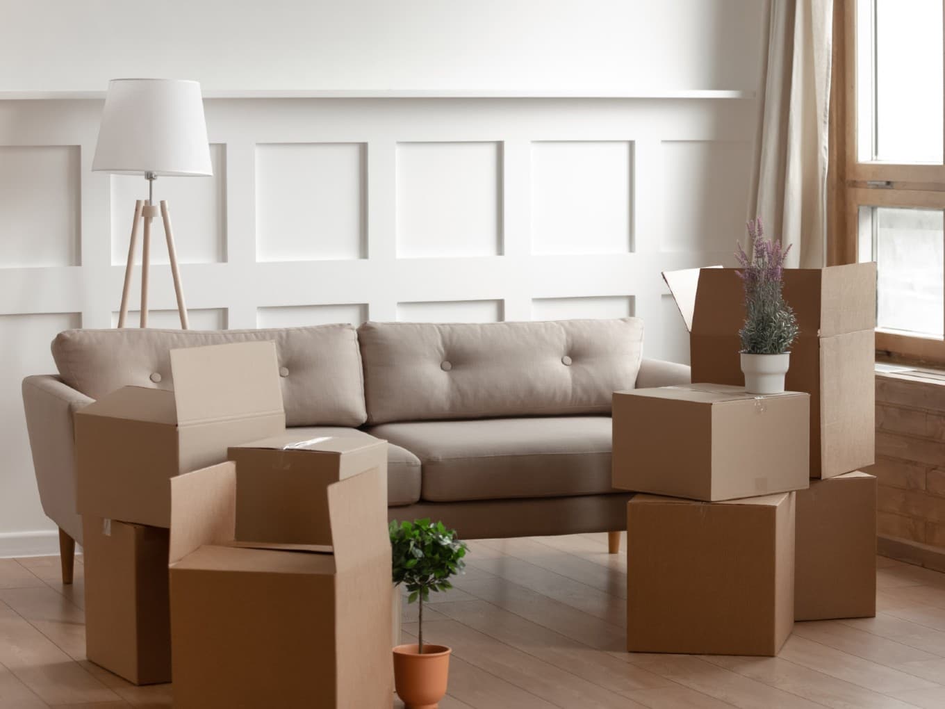 Rentomojo Cofounder Ajay Nain Moves NCLT To Stall Company’s IPO