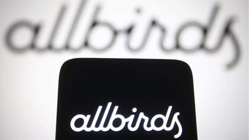 Allbirds rebrands as Smartbird, pivots to AI infrastructure solutions