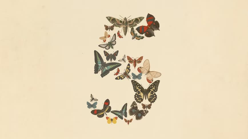 Claude Fable 5 targets China, sparking backlash from within Anthropic