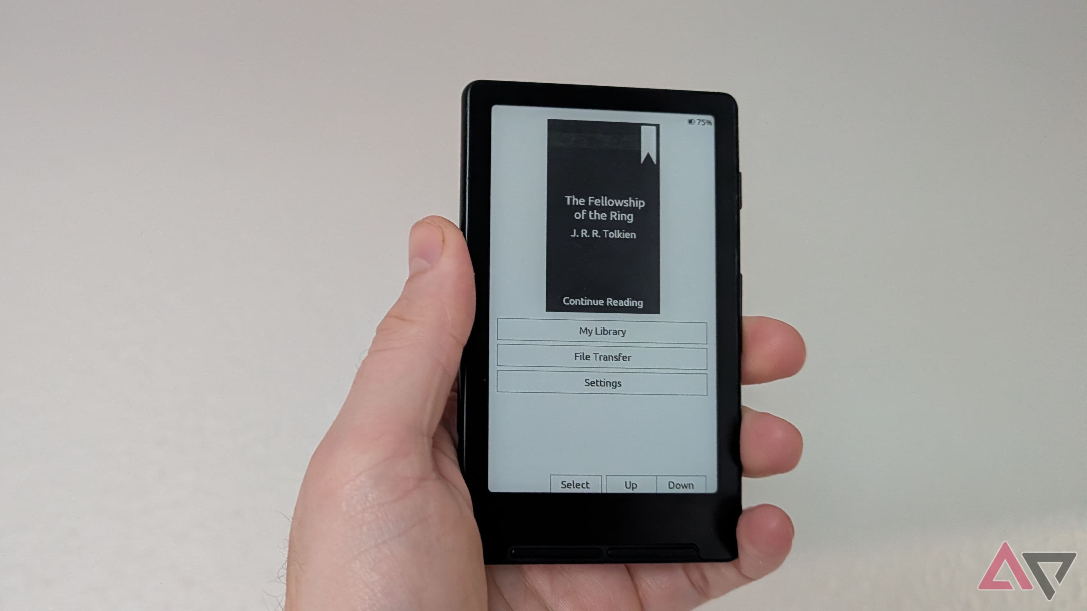 This tiny e-reader is smashing sales numbers, beating Amazon's Kindles