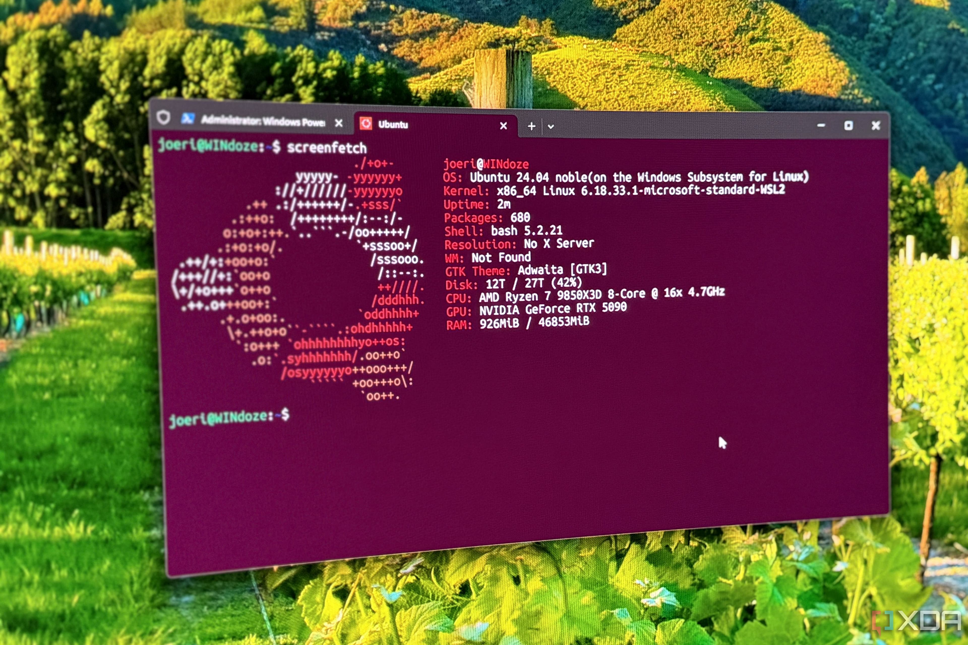Linux Containers Just Got Easier: Windows Joins the Low-Cost Container Party