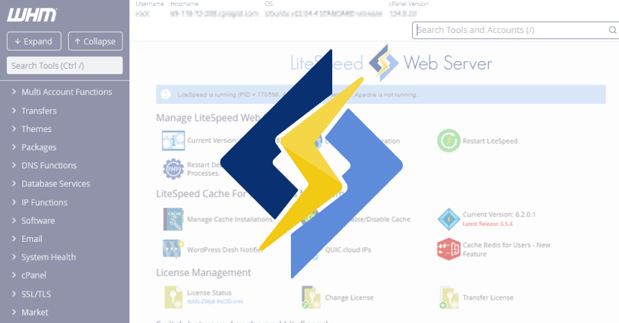 LiteSpeed cPanel Plugin CVE-2026-48172 Exploited to Run Scripts as Root