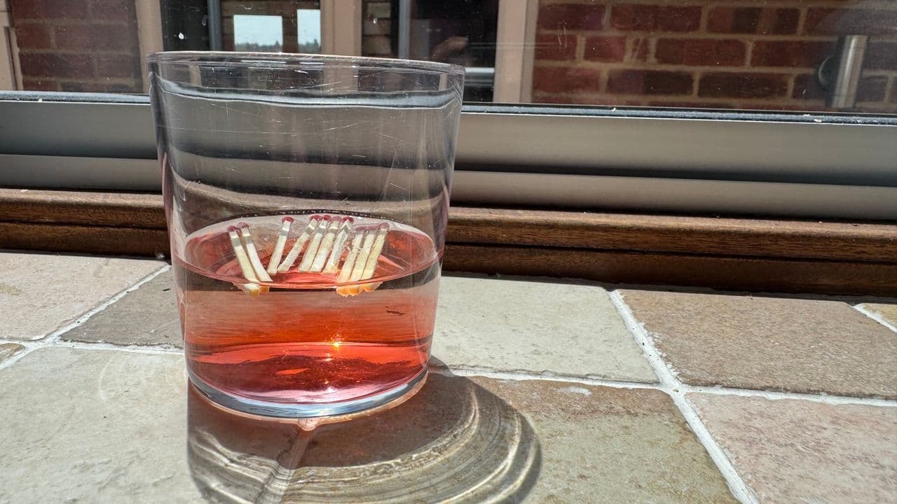 Discover an ingenious money-saving trick to nourish your plants using matches.